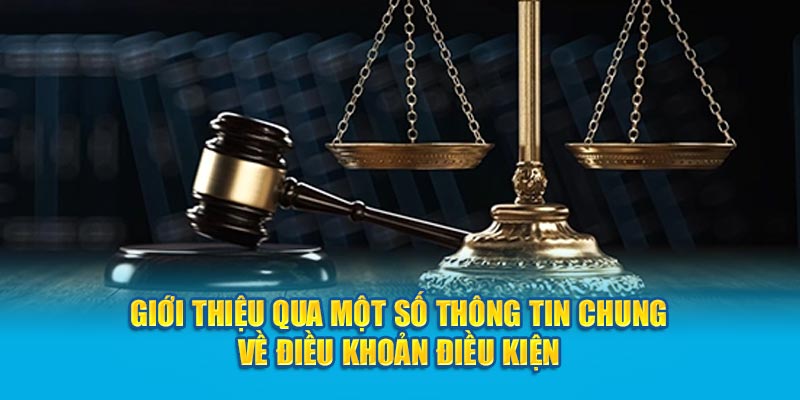 Giới thiệu qua một số thông tin chung về điều khoản điều kiện