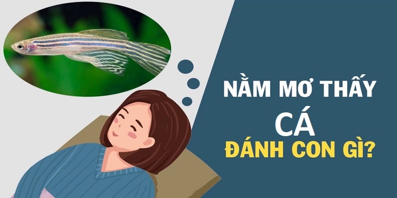 Đánh con gì đem lại cho lô thủ nhiều may mắn nhất