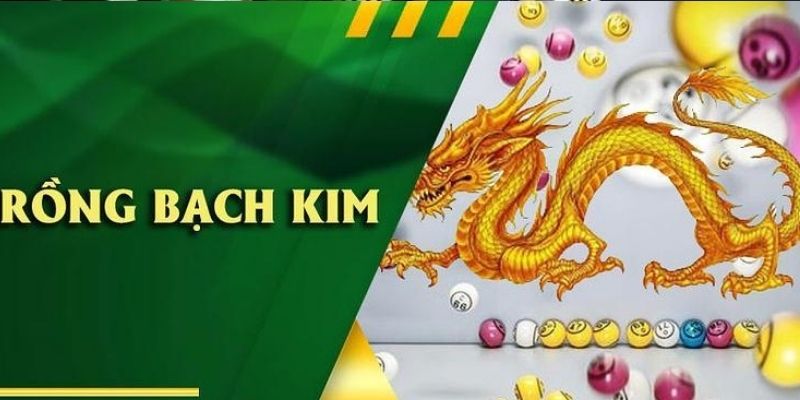 Chia sẻ cao thủ chơi dàn đề 10 số rồng bạch kim về kinh nghiệm chơi