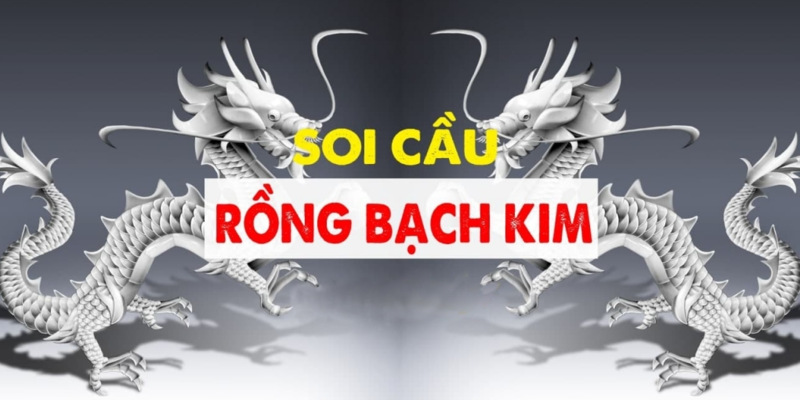 soi cầu rồng bạch kim miền bắc